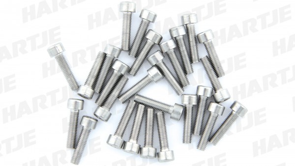 BOFIX Innensechskantschraube; Edelstahl (Niro); Produktbeschreibung holländisch; Abgabe nur in Packung zu 25 Stück, Preis per Packung, M5 x 20mm
